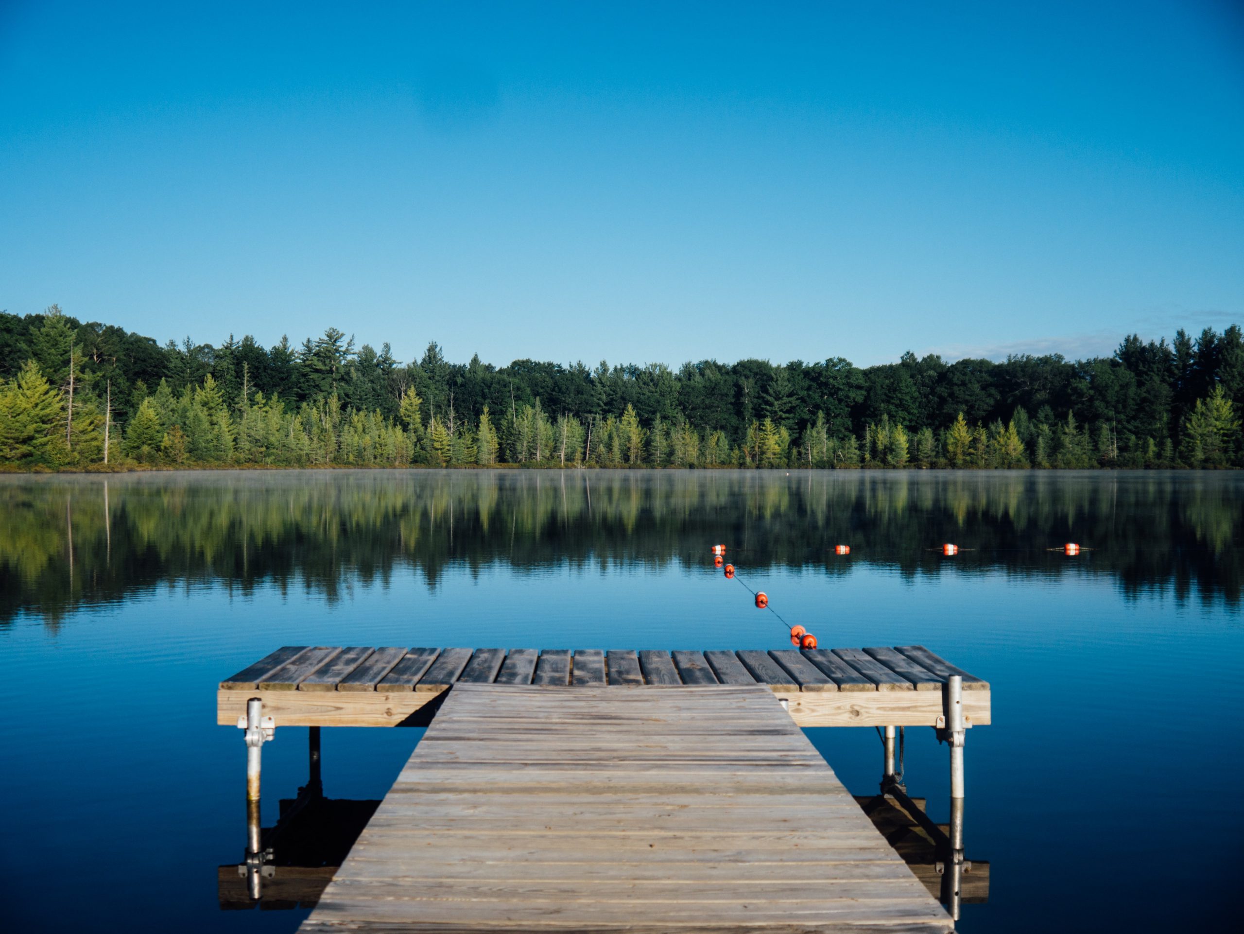 Cottage dock and clear lake surrounded by forest