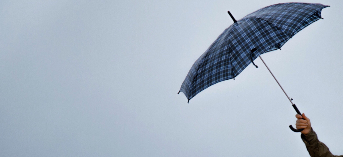 Investor weathering a storm with an umbrella