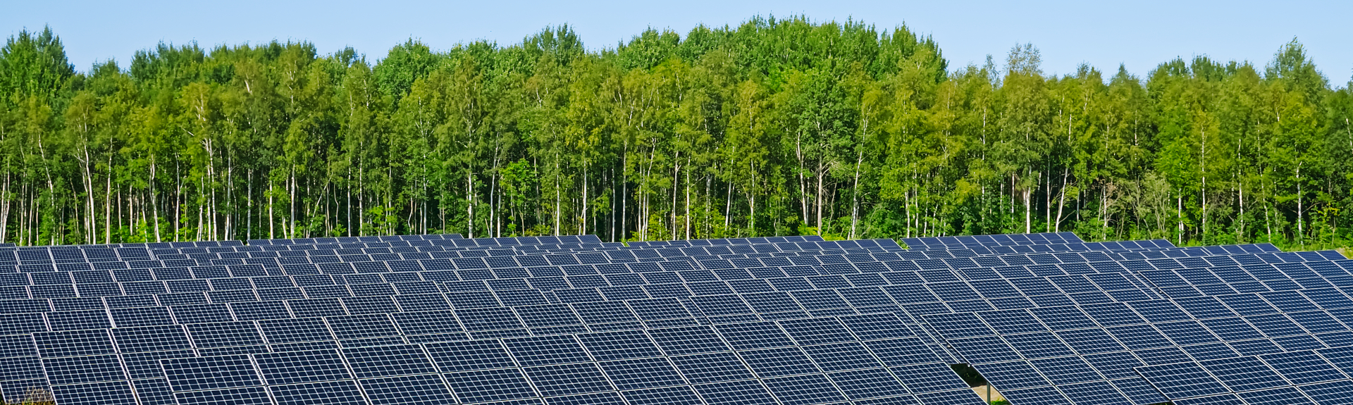 Solar power plant in summer day with beautiful trees and pasture.