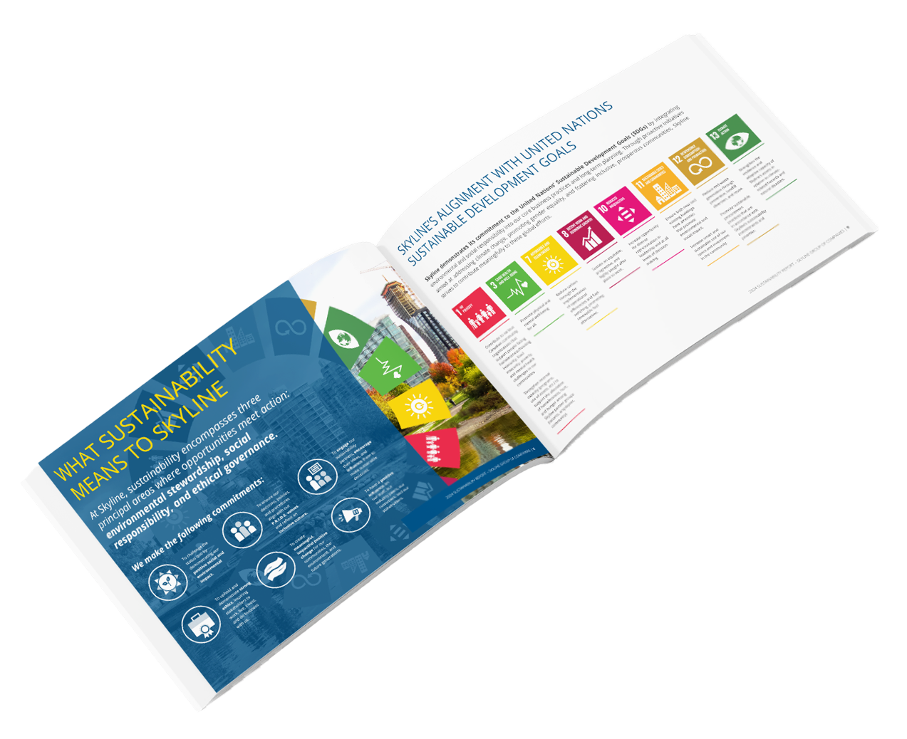 Skyline Sustainability PDF Graphic