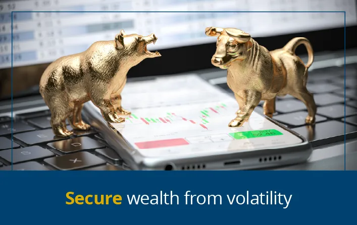 Bull vs. Bear: Public Markets and Private Investments